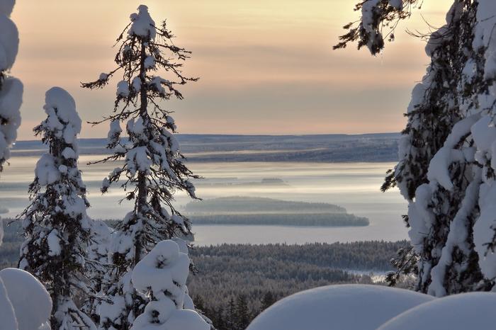 Lunta Riisitunturilla helmikuussa 2020.